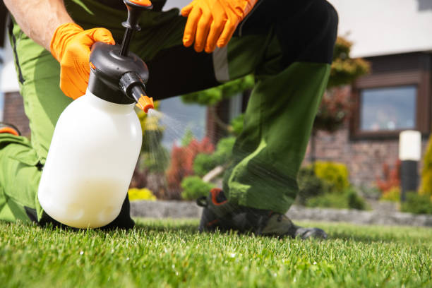 Best Mosquito Control Services  in Gantt, SC