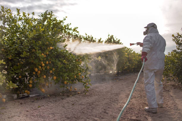 Best Wildlife Control Services  in Gantt, SC
