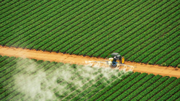 Best Pest Inspection Near Me  in Gantt, SC