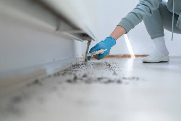 Pest Control Cost in Gantt, SC